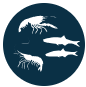 Prey abundance icon. The abundance of small fish and crustaceans is a key metric of Everglades food webs.
